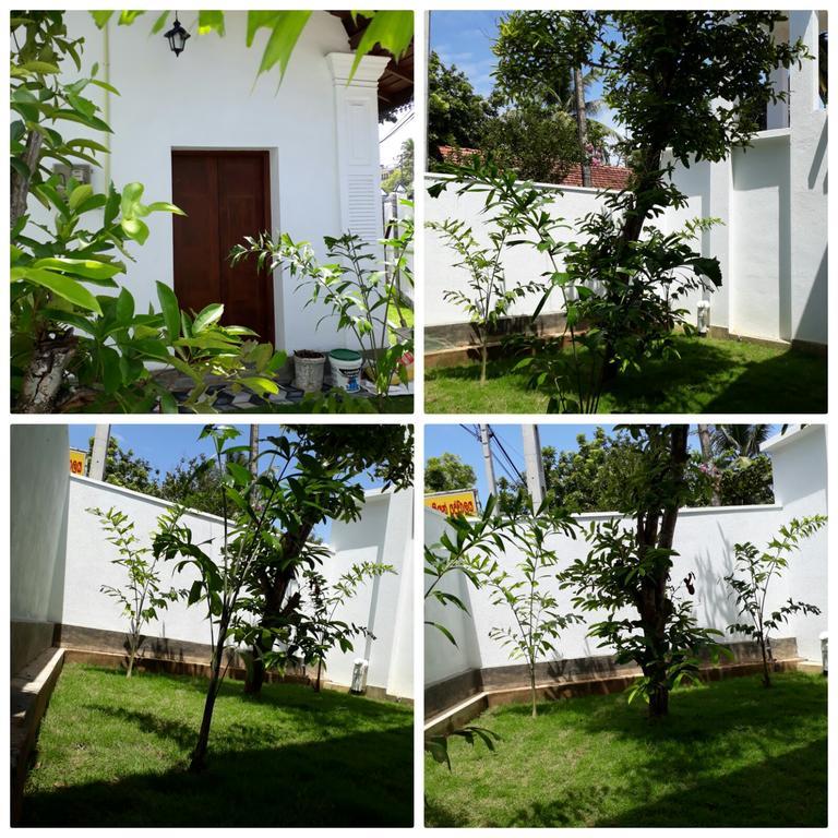 Best Inn Villa Mirissa Εξωτερικό φωτογραφία